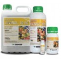 JUVINAL 10 EC  JED