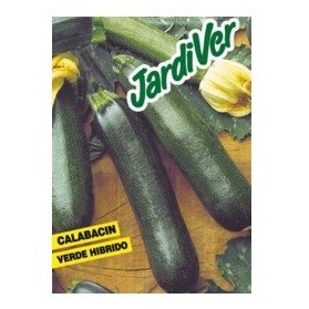 CALABACIN VERDE HIBRIDO