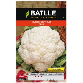 COLIFLOR BRIO URGELBA BATLLE