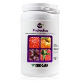 PROLECTUS