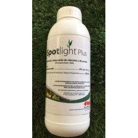 SPOTLIGHT PLUS