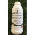 SPOTLIGHT PLUS