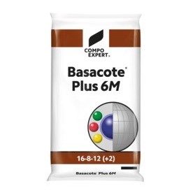 BASACOTE 6M