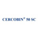 CERCOBIN