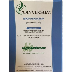 POLYVERSUM