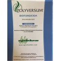 POLYVERSUM