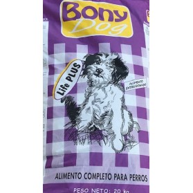 BONY DOG
