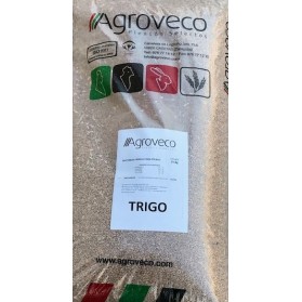 TRIGO EN GRANO PIENSO