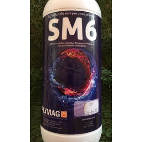 SM-6