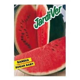 SANDIA SUGAR BABY