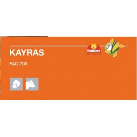 KAYRAS