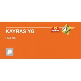 KAYRAS YG