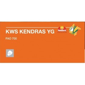 KENDRAS YG