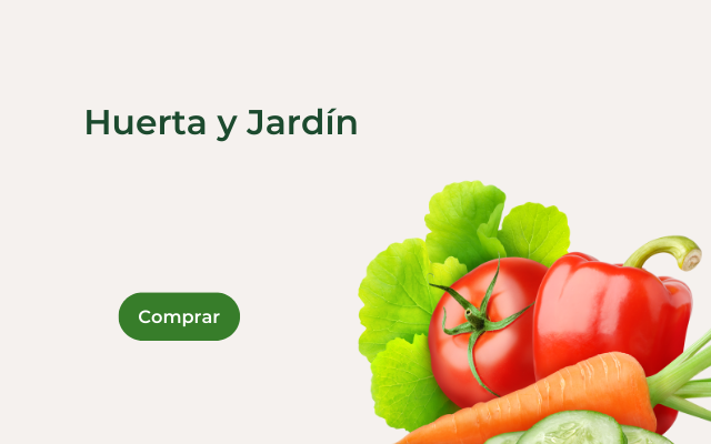 Huerta y jardín