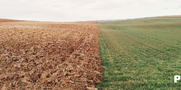 El herbicida para el rastrojo en campos de siembra directa