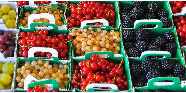 Acudimos a Fruit Attraction 2018