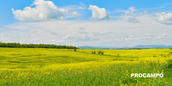 Plan Estratégico de la Política Agraria Común: objetivos claves