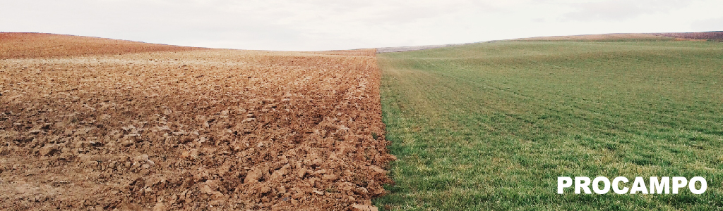 El herbicida para el rastrojo en campos de siembra directa