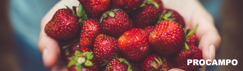 Fruit Attraction