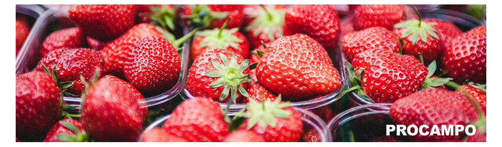 Fruit Attraction 2017