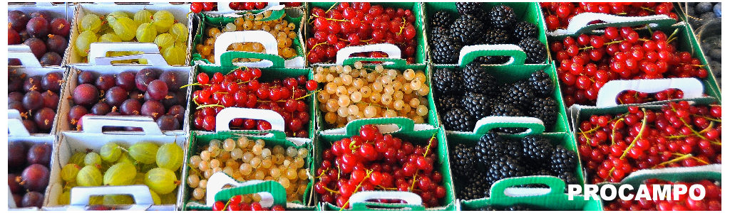 Acudimos a Fruit Attraction 2018